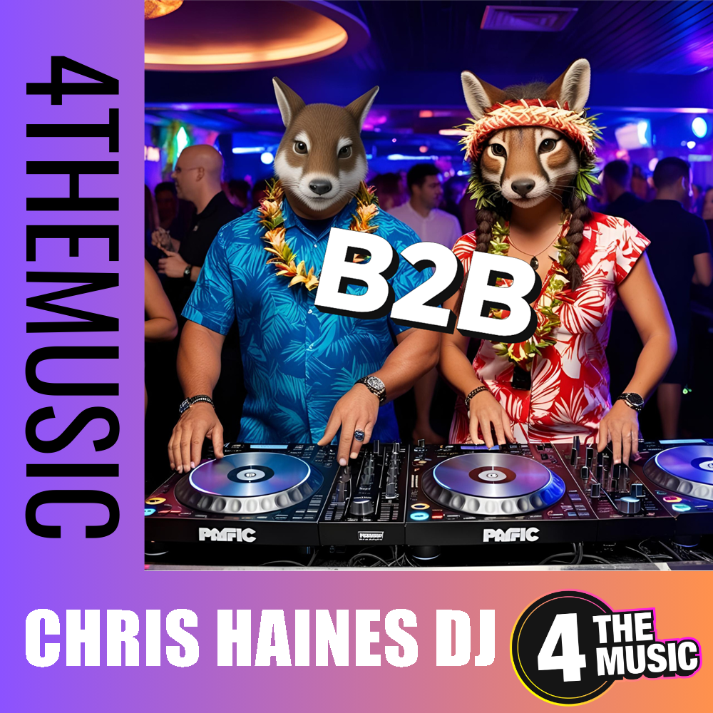 Chris Haines DJ